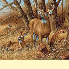 Схема вышивки «Серия "Олени"»