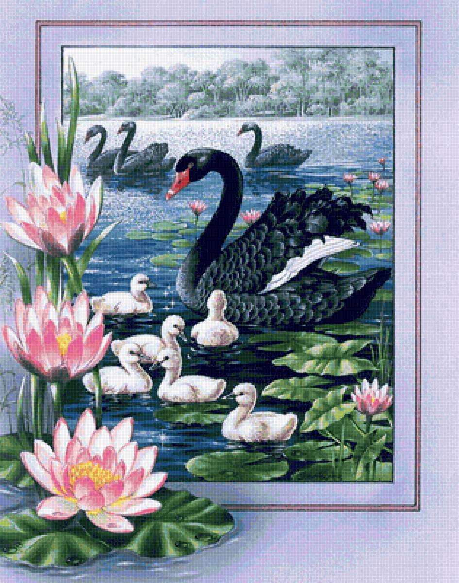 Pájaros 2 - pájaros - предпросмотр