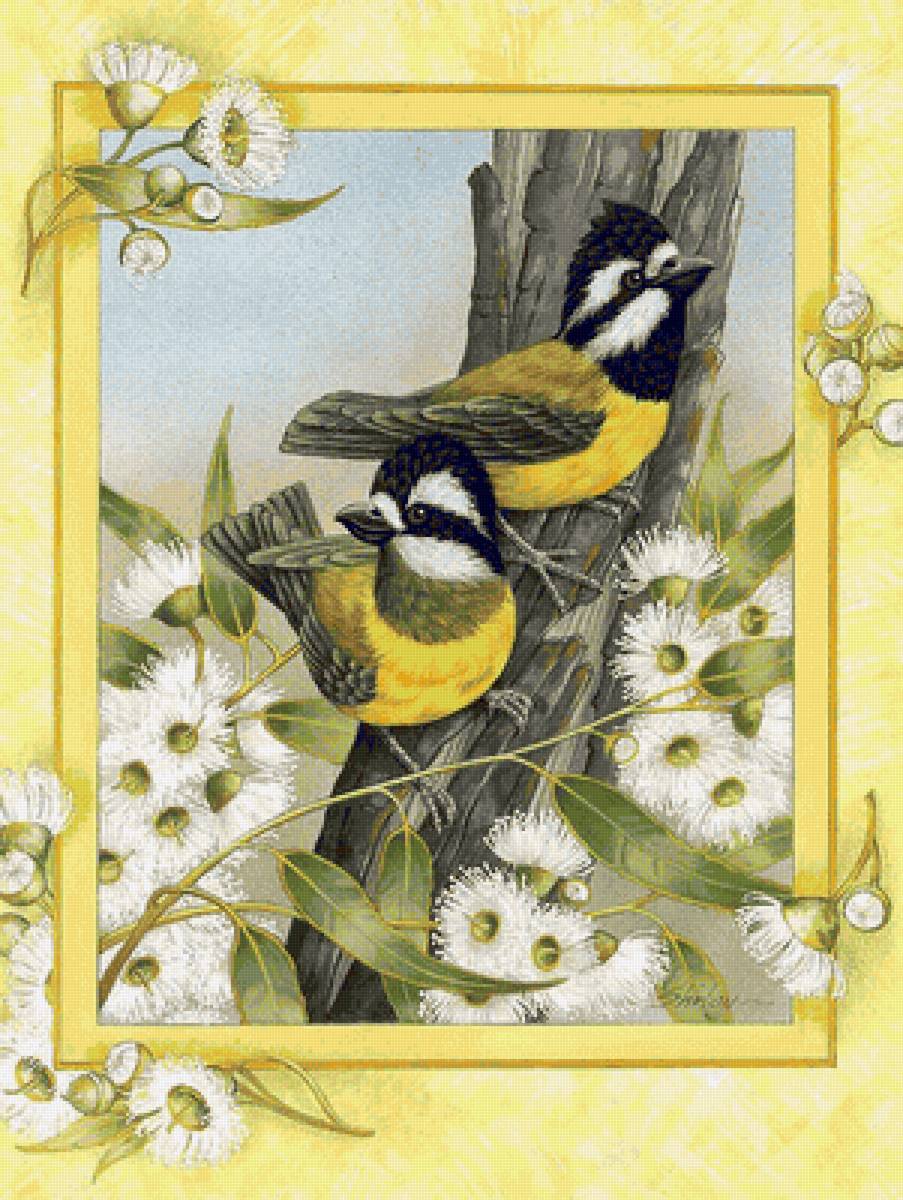 pájaros 3 - pájaros - предпросмотр