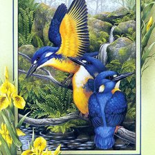 Схема вышивки «Pájaros 4»