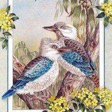 Схема вышивки «Pájaros 5»