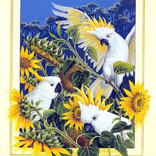 Схема вышивки «Pajaros7»