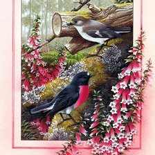 Схема вышивки «pájaros 8»