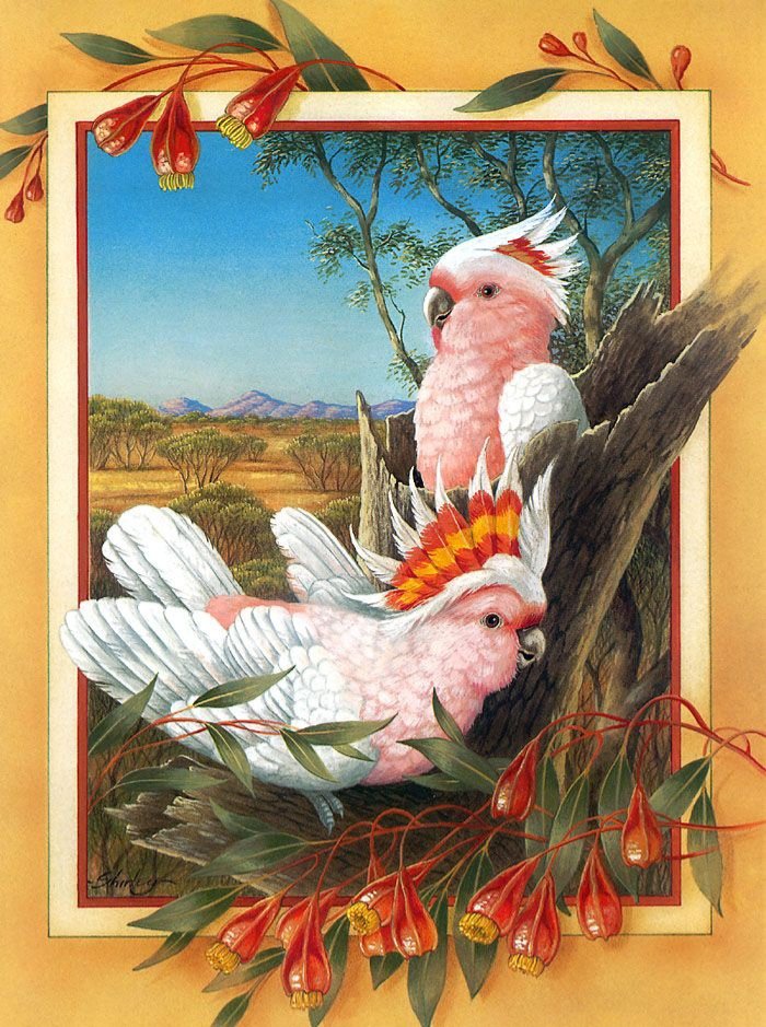 Pájaros9 - pajaros - оригинал