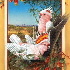 Схема вышивки «Pájaros9»