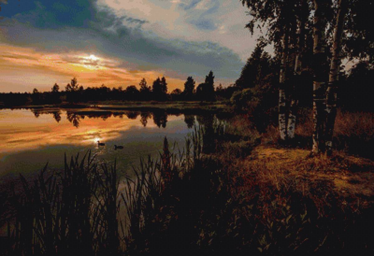 вечер - лето, вода, пейзаж, дерево, лес - предпросмотр