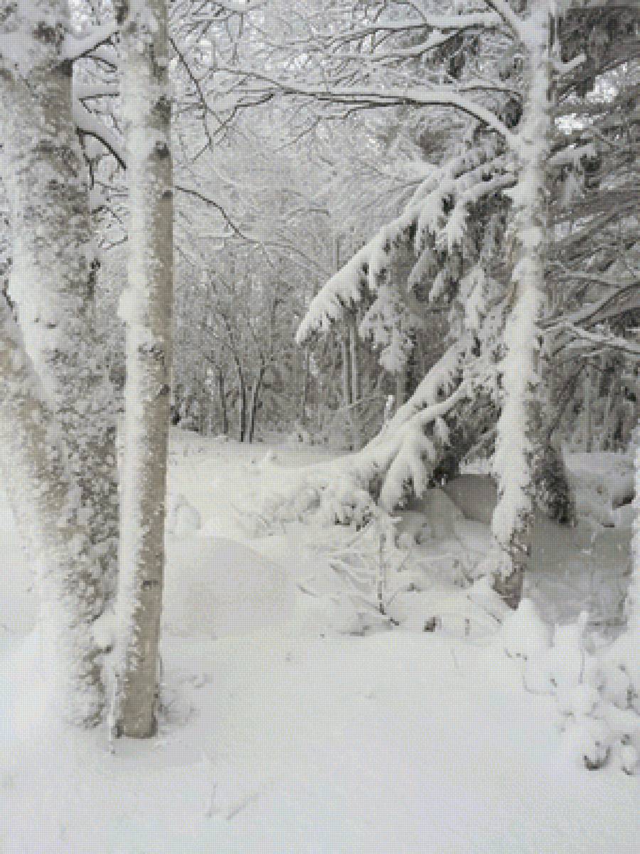 №2453803 - предпросмотр