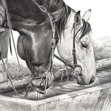 Схема вышивки «№2453830»