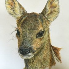 Схема вышивки «№2454119»