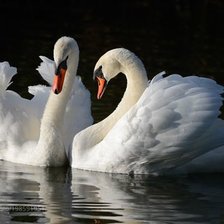 Схема вышивки «№2454484»