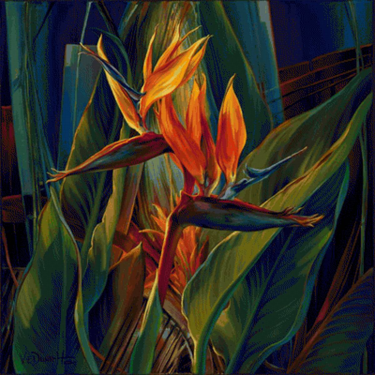 Стрелиция - растение, цветок - предпросмотр