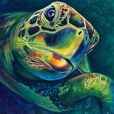 Схема вышивки «Черепаха»