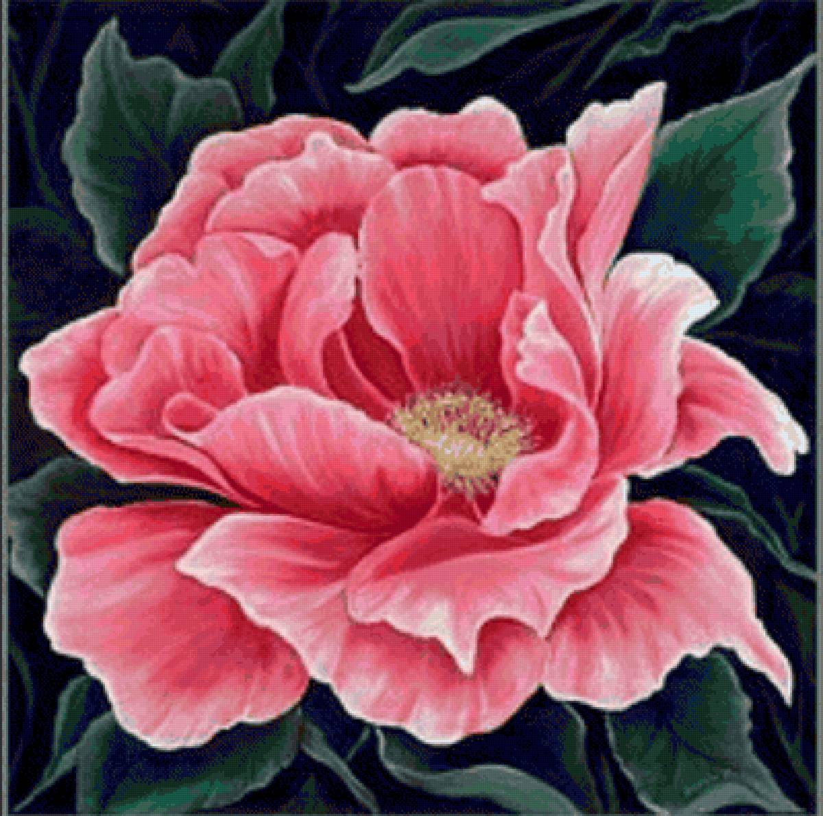 Красный цветок - цветы - предпросмотр