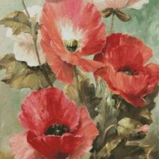 Схема вышивки «маки, пнк»