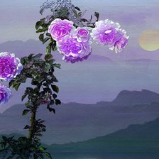 Схема вышивки «№2455405»