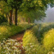 Схема вышивки «№2456257»