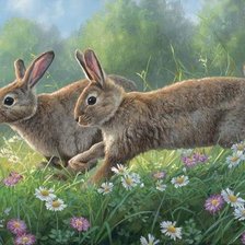 Схема вышивки «№2457047»