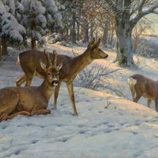 Схема вышивки «№2457060»