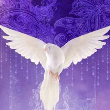 Схема вышивки «Моя голубка»