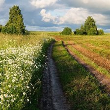 Схема вышивки «Пейзаж»