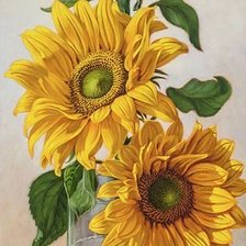 Схема вышивки «Подсолнух»