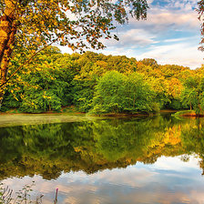 Схема вышивки «Серия "Природа". Озеро в лесу»