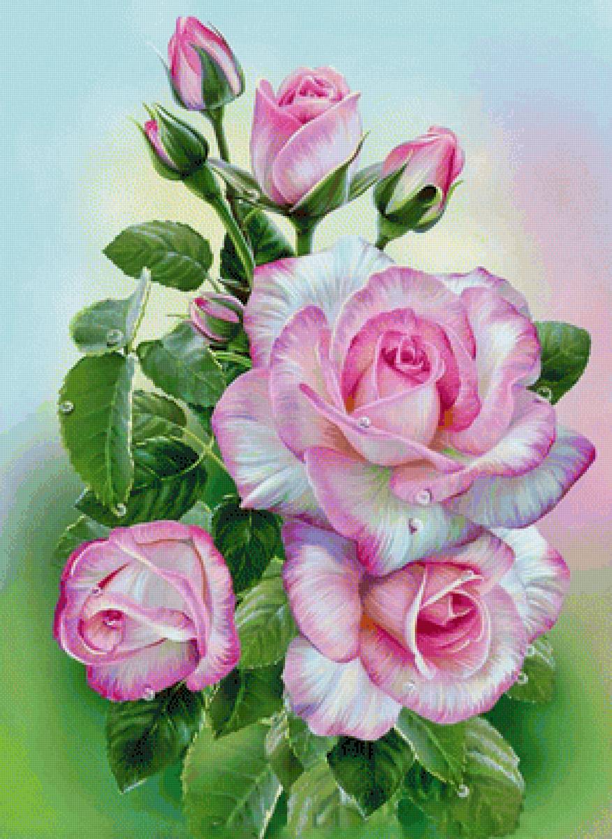 Любимые розы - розы розовые - предпросмотр