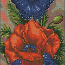 Схема вышивки «метелки в маках»