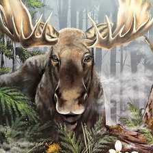 Схема вышивки «Лось»