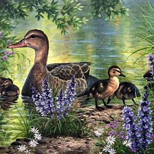 Уточка и утята