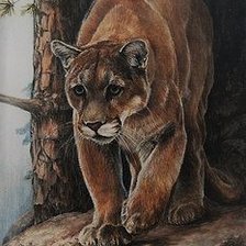 Схема вышивки «Пума»