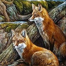 Схема вышивки «Лисы»