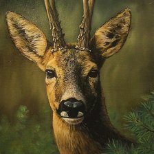 Схема вышивки «Олень»