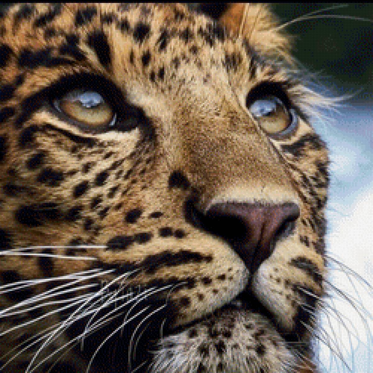 Леопард - предпросмотр