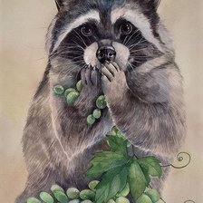 Схема вышивки «Енот»