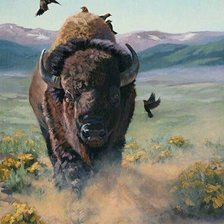 Схема вышивки «Бизон»