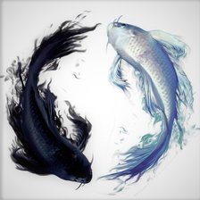 Схема вышивки «Инь и Янь»