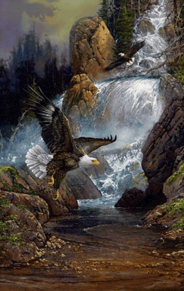 Орлы над водопадом - пейзажи - предпросмотр