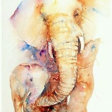 Elefante