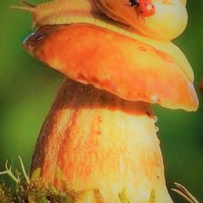 Схема вышивки «Улитка на гребочке»