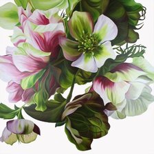 Схема вышивки «Морозник»