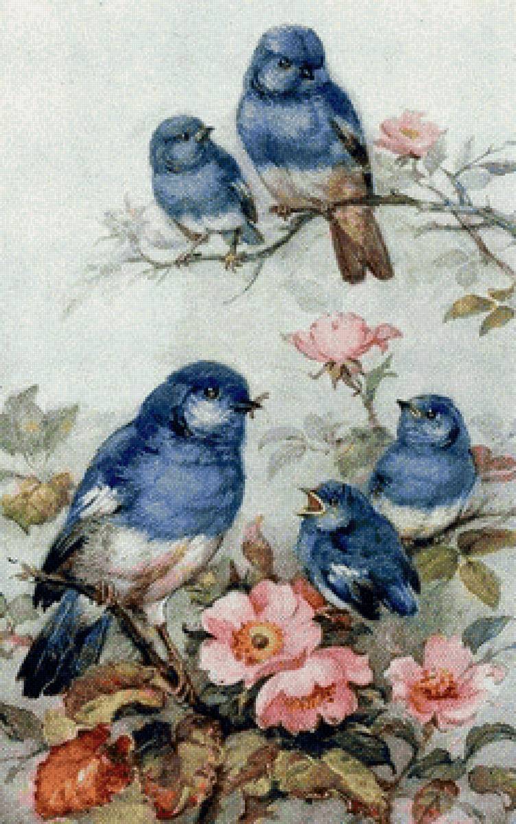 Синие птички - птицы - предпросмотр