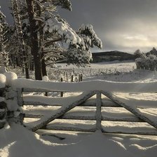 Схема вышивки «№2461204»