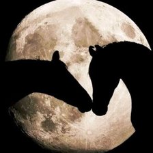 Схема вышивки «Пара»