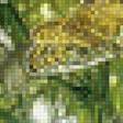Предпросмотр схемы вышивки «Бабочки» (№2461324)