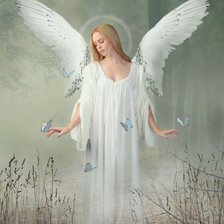 Схема вышивки «Ангел и бабочки»