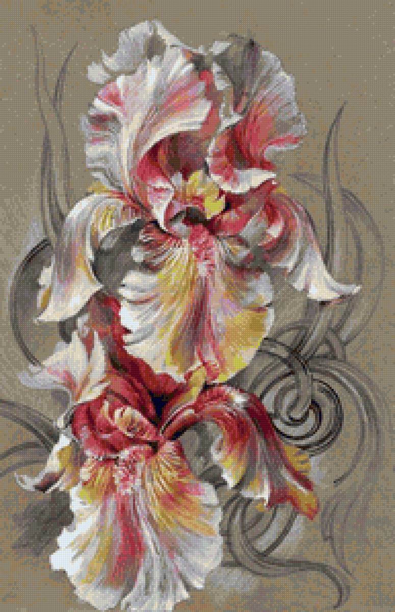 ирис - натюрморт, цветы - предпросмотр