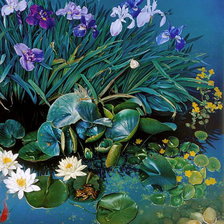 Схема вышивки «пруд»