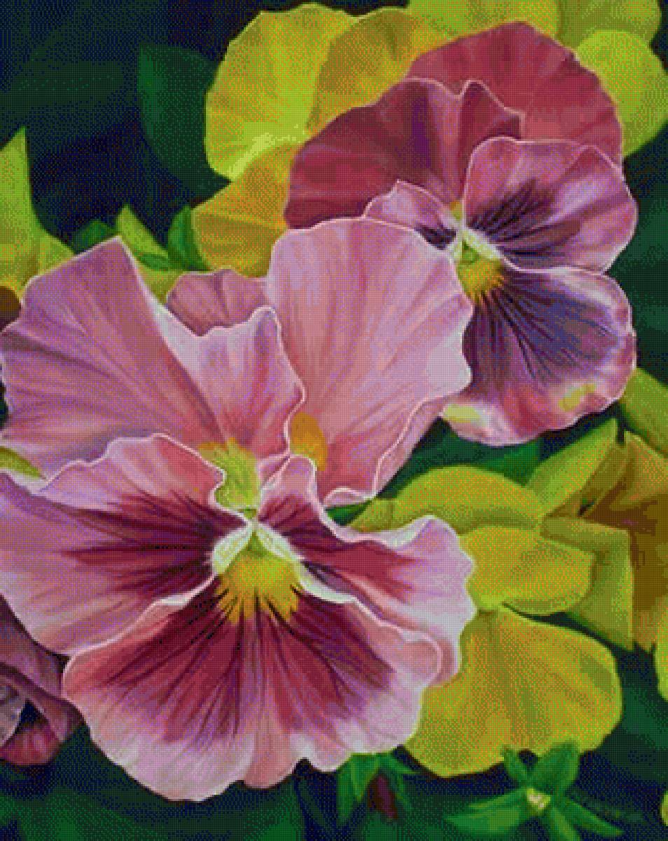 Анютины глазки - цветы, растения - предпросмотр