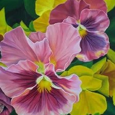 Схема вышивки «Анютины глазки»